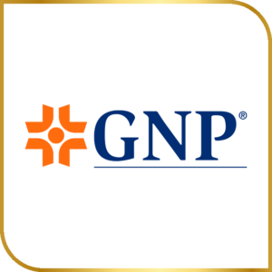 GNP